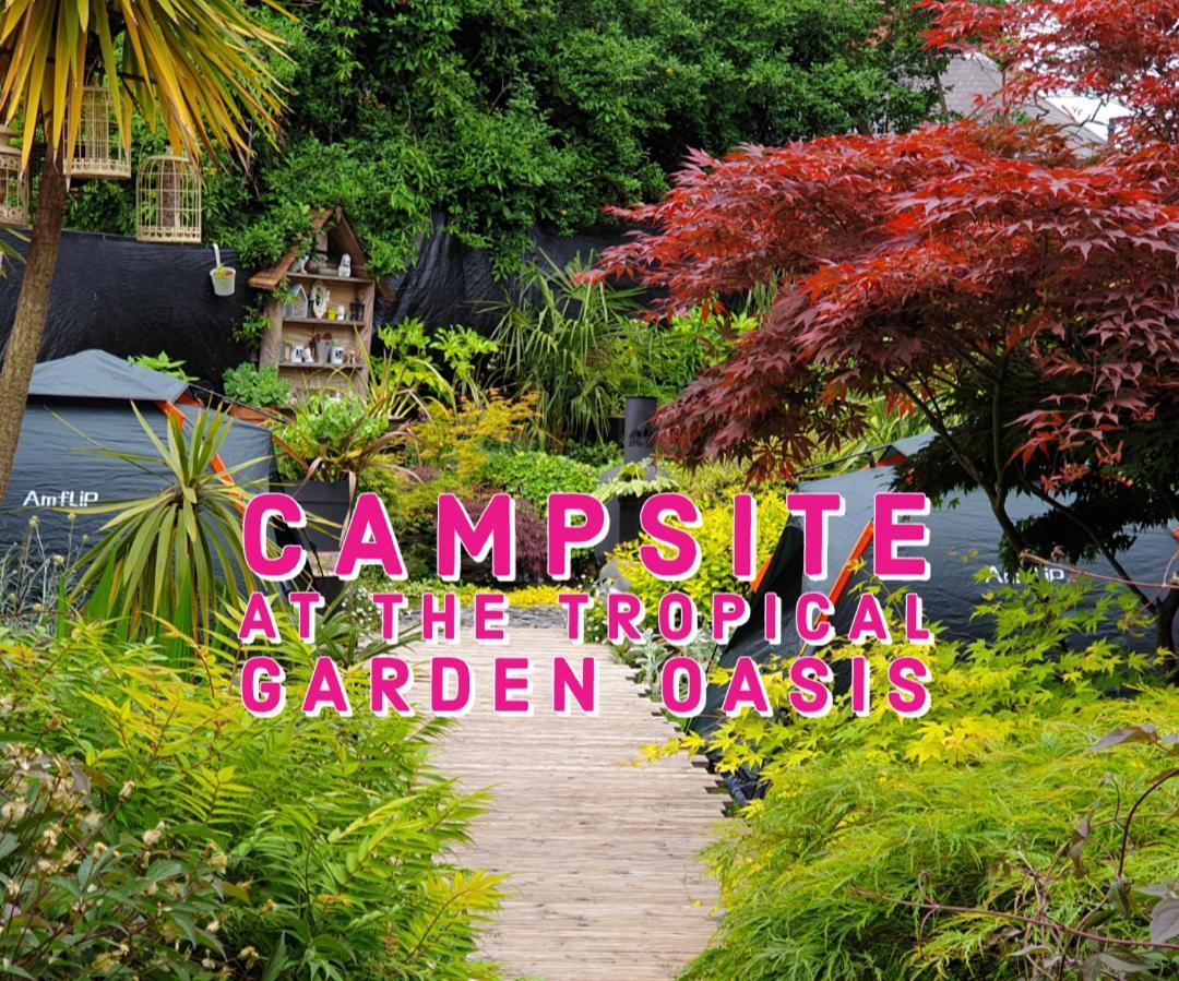 Tropical Garden Oasis Rooms Birmingham Camera foto